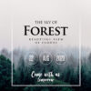 Sky Forest - PSD Flyer Template