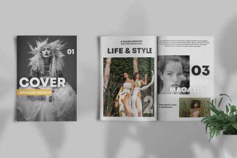 Free Magazine Showcase Mockup (PSD)